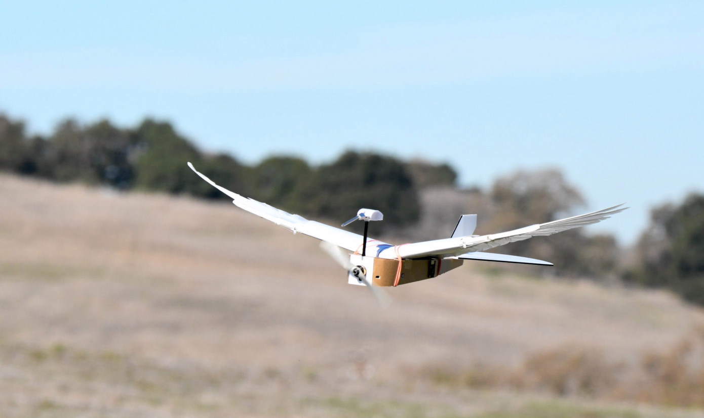 The World’s First Pigeon Robot Ready to Reach for The Sky